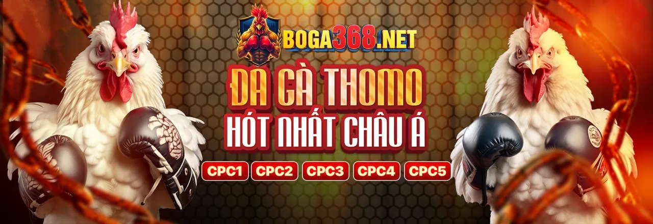 Đá Gà Trực Tuyến DG88