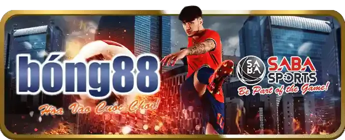Giao diện đặt cược thể thao trực tuyến của DG88